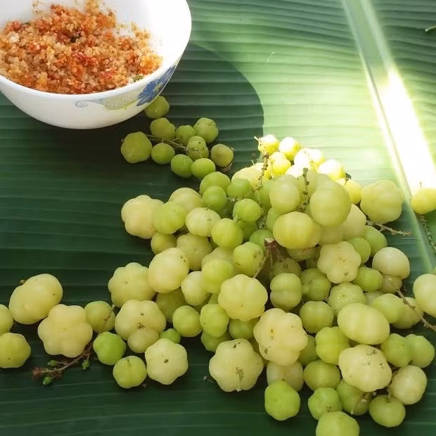 Quả chùm ruột vị chua nhiều hơn vị ngọt nên người dân địa phương thường dầm với mắm đường. Ảnh: Internet