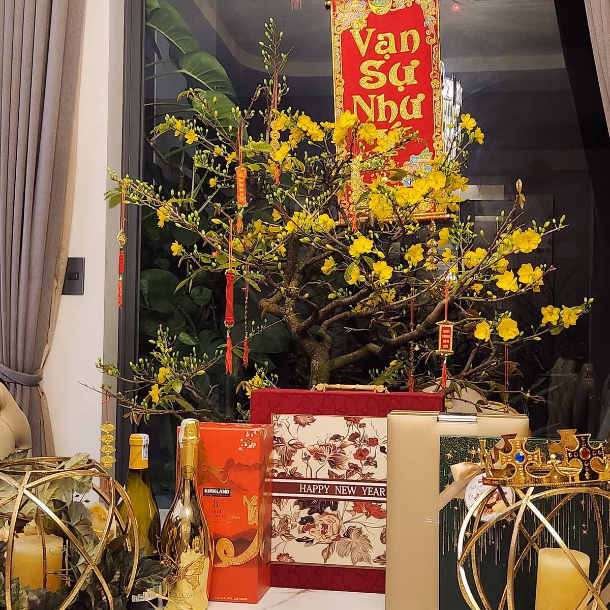 Dịp Tết, căn biệt thự rực sắc mai vàng. Ảnh: FB Quach Thanh Danh