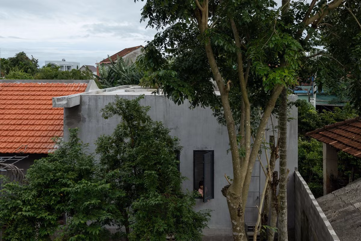 Thay vì loại bỏ cây lộc vừng có sẵn, kiến trúc sư chọn cách bảo tồn và kết hợp vào thiết kế ngôi nhà. Ảnh: Quang Trần