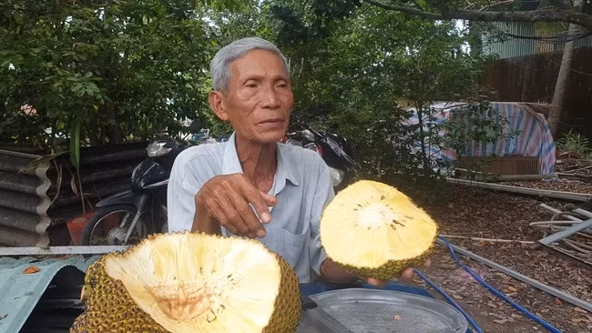 Thấy giống mít mới khá lạ nên nhiều người đặt mua, ông Mẫn bán không xuể. Ảnh: Dân Việt