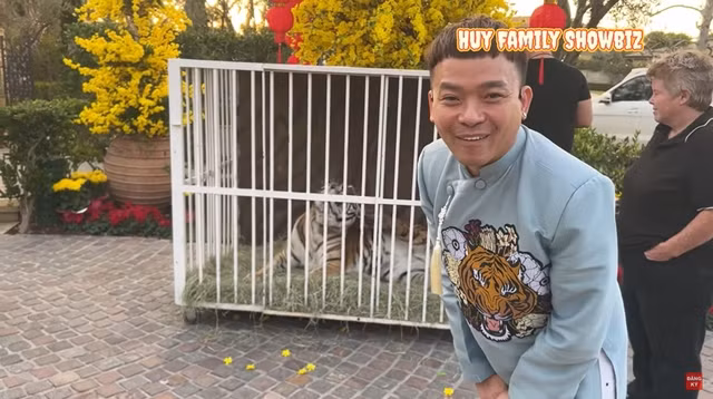 Vợ chồng Bích Tuyền nuôi cả hổ trong lồng. Ảnh chụp màn hình.