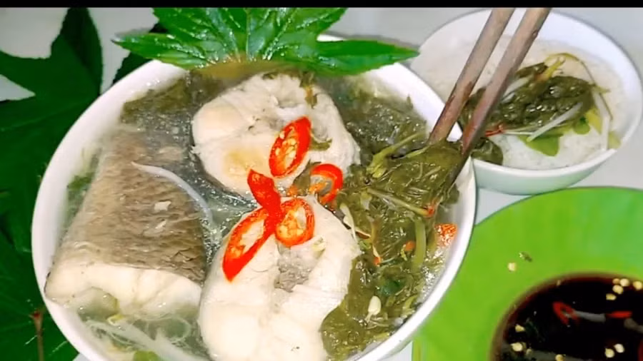 Trước kia ở các miền quê, người dân hái lá bụp giấm để làm đủ các món ăn thanh mát, giải nhiệt ngày hè. Bởi, lá của cây có vị chua nhẹ và mùi thơm rất đặc trưng. Ảnh: Internet