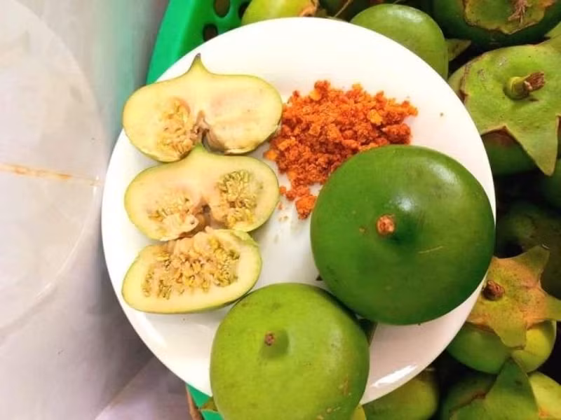  Trái bần có vị chua chua, bùi bùi rất khác lạ. Trước đây, người dân thường chấm cùng muối ớt ăn như một thứ quà vặt. Ảnh: Mia