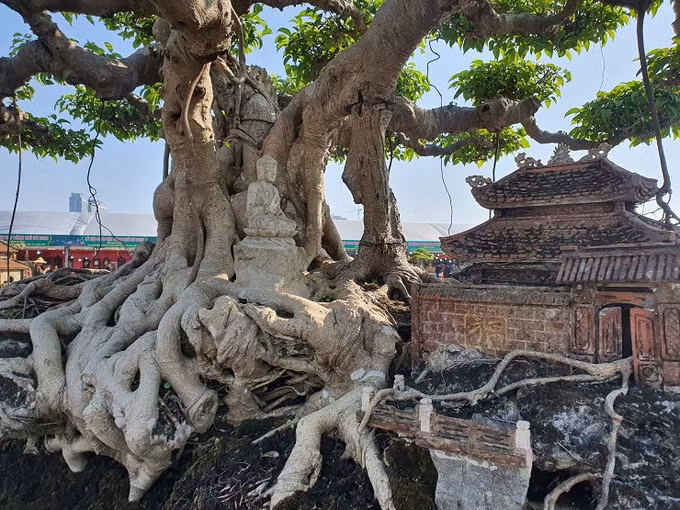 Đây cũng được coi là “siêu cây” đầu tiên đưa tiểu cảnh vào như một tác phẩm nghệ thuật. Ảnh: Internet