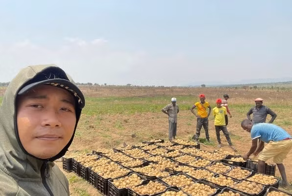 Nông trại của Quang Linh Vlog cũng đã cho thu hoạch những củ khoai tây to gấp 3 - 4 lần ở Việt Nam. Ảnh: FBNV
