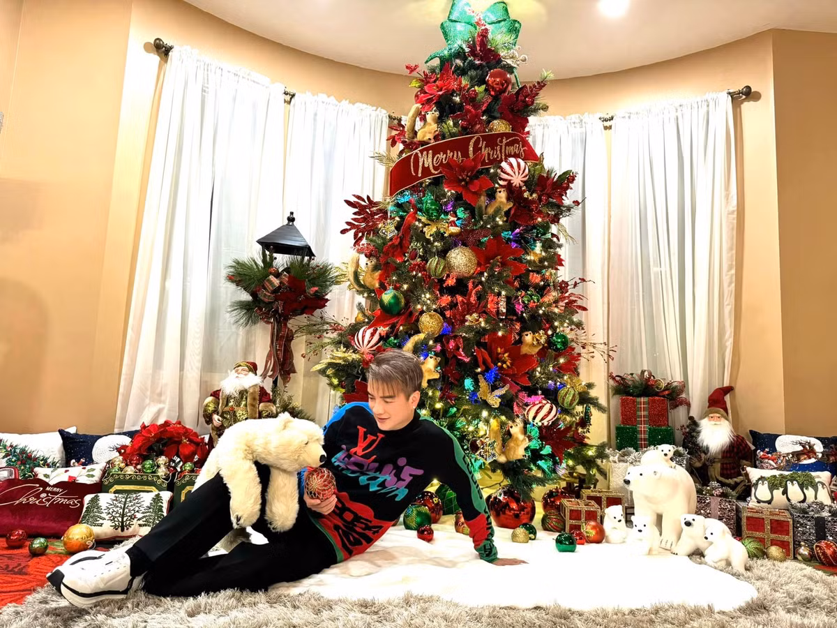 Nổi bật trong phòng khách là cây thông Noel với nhiều món đồ trang trí như hộp quà, dây kim tuyến, quả châu, thiệp mừng... Ảnh: FB Dam Vinh Hung