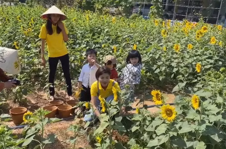 Mới đây, trên trang cá nhân, Hoa hậu đông con nhất Việt Nam khoe vườn hoa hướng dương rộng tới 4 hecta của gia đình với mục đích kinh doanh và cho du khách tham quan.