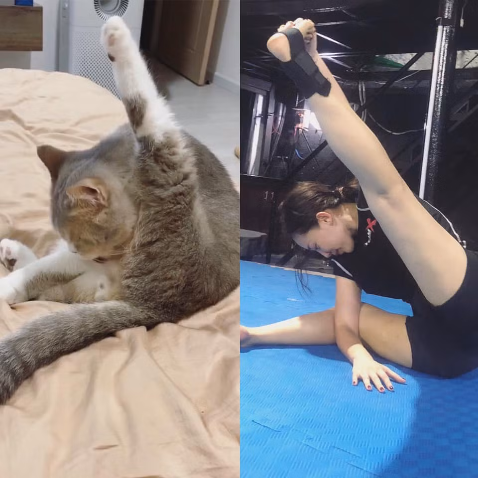 Nữ ca sĩ còn phải "gật gù" thừa nhận tư thế của mình giống chú mèo đến ngỡ ngàng.