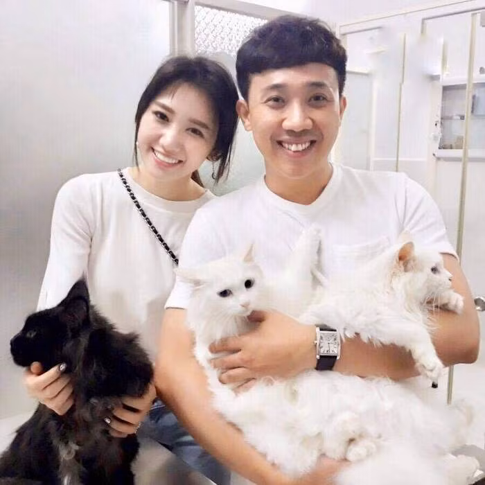 Vợ chồng Trấn Thành có cùng niềm đam mê nuôi mèo.