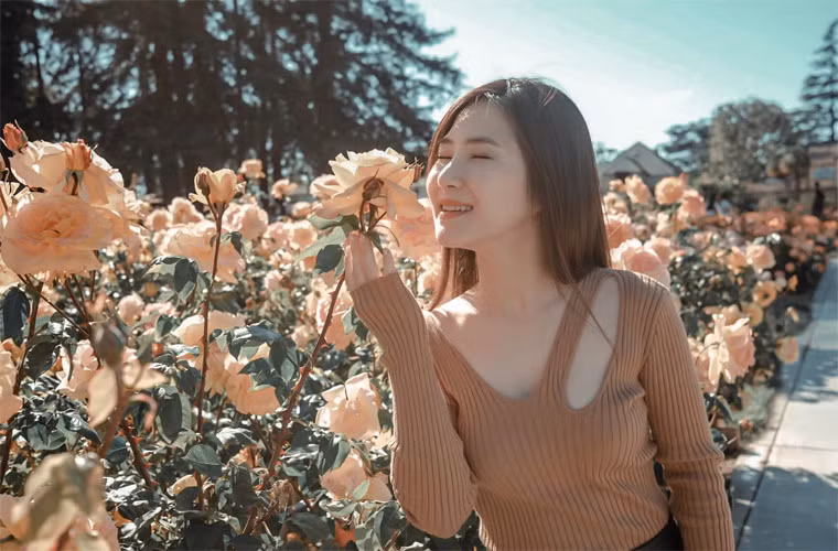 Hiện Hương Tràm đang sống trong nhà căn nhà thuê xinh đẹp tại Mỹ và cô đang tận hưởng cuộc sống rất yên bình.