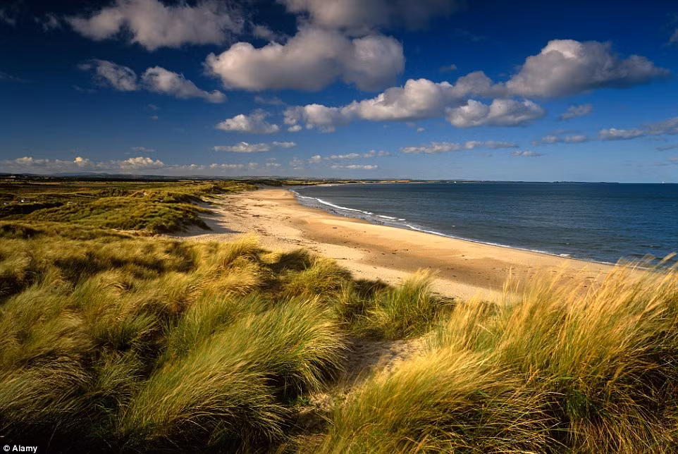 Vịnh Druridge ở Northumberland chạy dọc những cồn cát trải dài.