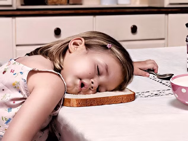 Bé gái ngủ gật trong khi ăn sáng và dùng luôn lát bánh mì trên bàn làm gối.