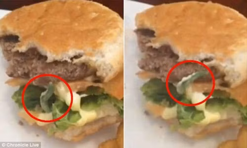 Kinh so phat hien sau ngo nguay trong banh burger