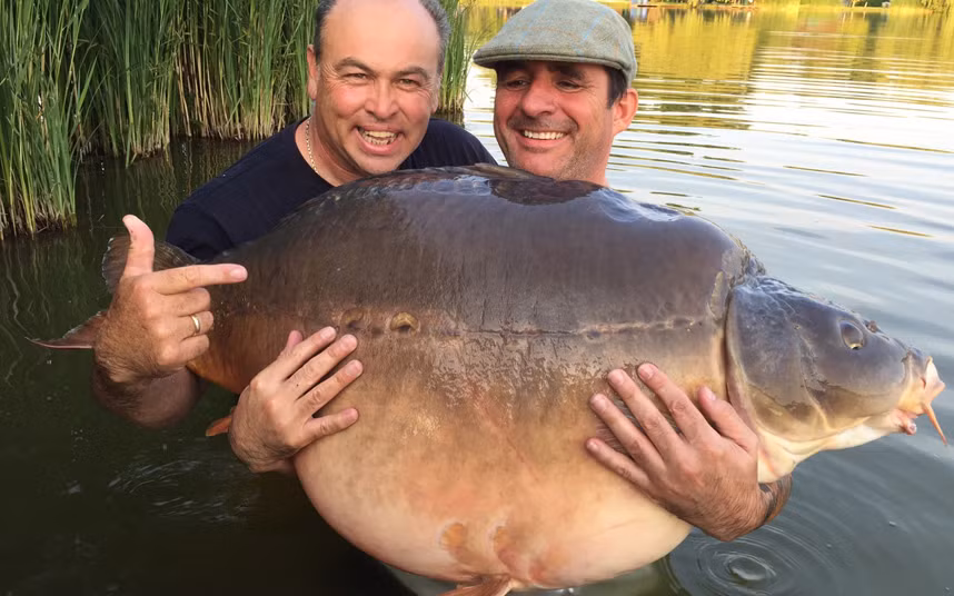 Stephen Weir (phải) ăn mừng sau khi bắt được con cá chép nặng 47 kg ở hồ Euro Aqua, Hungary.