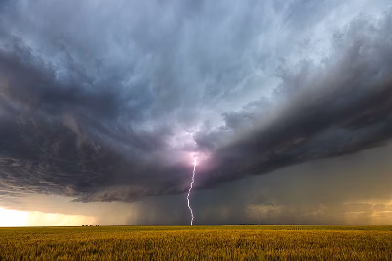 Sét màu hồng đánh xuống một cánh đồng ngô ở bang New Mexico.