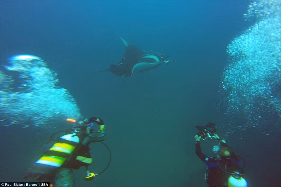 Cuộc giải cứu diễn ra tại vùng biển ở ngoài khơi quần đảo Cocos, Costa Rica.