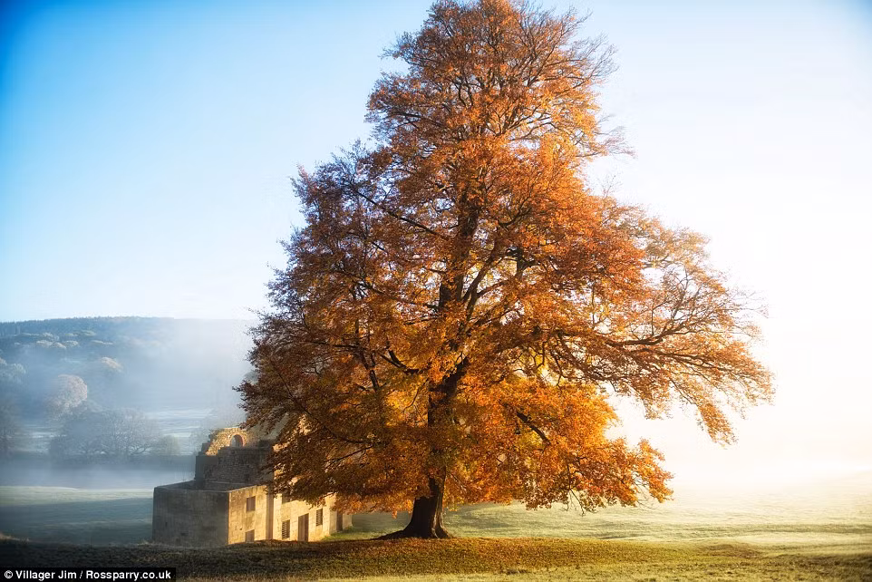 Sương sớm mù mịt và lá cây đổ vàng là đặc trưng mùa thu ở vùng Derbyshire.