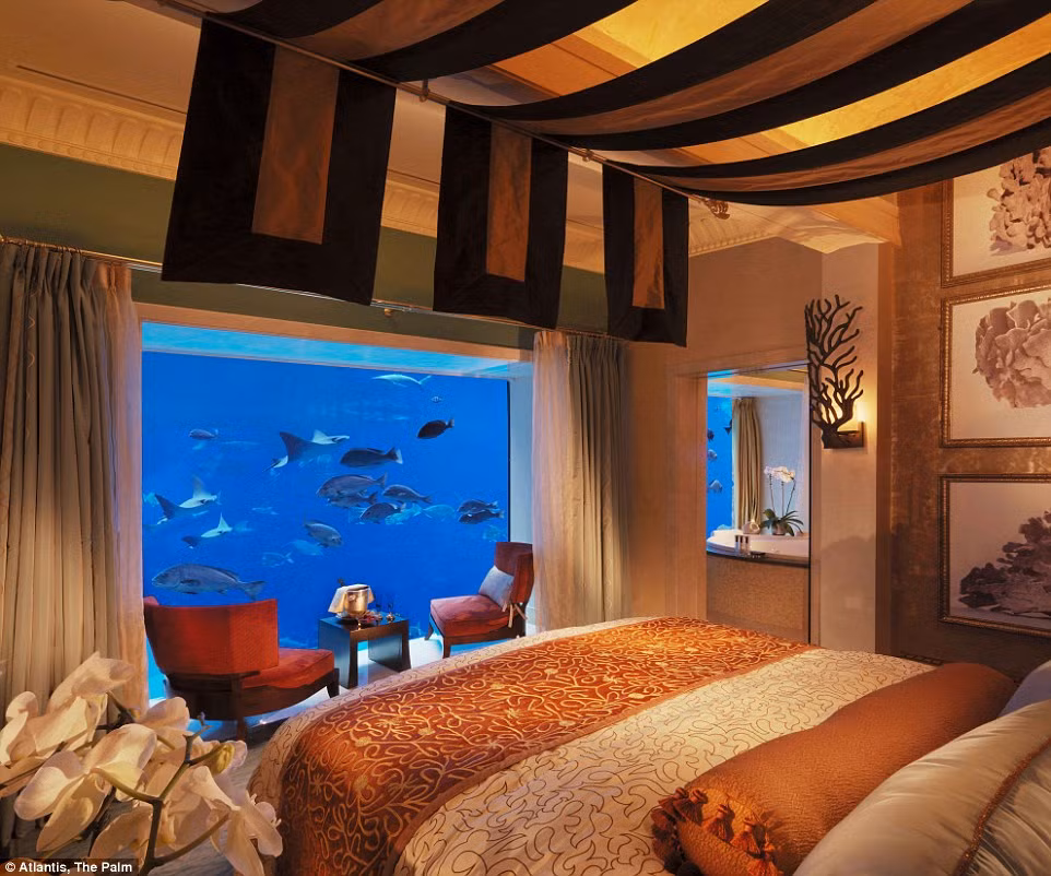 Khách sạn The Palm ở Dubai thiết kế một số phòng có view nhìn ra bể thủy sinh khổng lồ với 65.000 loài sinh vật biển.