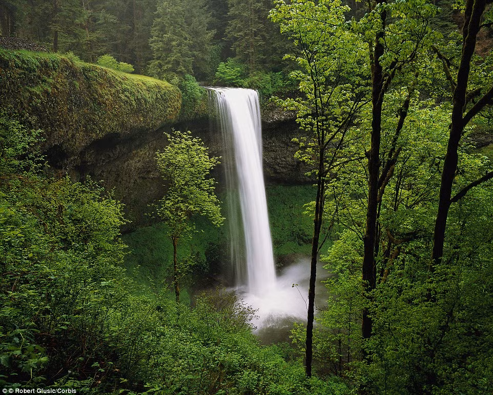 Thác Silver đẹp như tranh vẽ trong công viên quốc gia cùng tên ở Oregon.