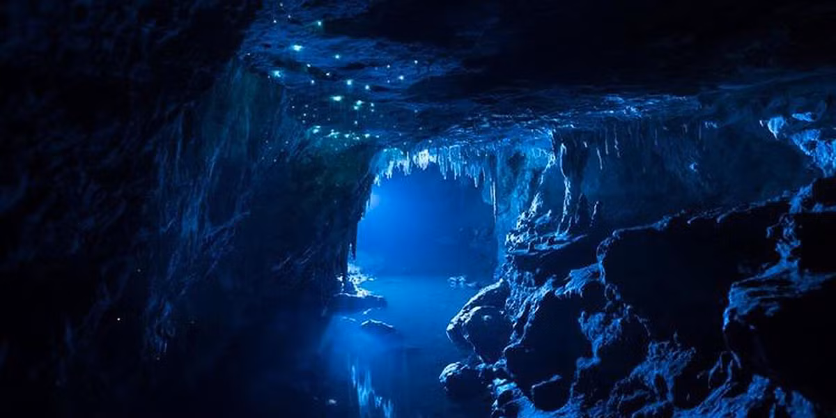 5. Hang động Waitomo Glowworm (New Zealand): Hang động này nổi tiếng với hàng ngàn con đom đóm phát sáng, tạo nên một khung cảnh lung linh như dải ngân hà dưới lòng đất.