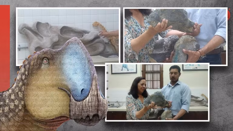 Phát hiện về Coahuilasaurus lipani không chỉ mở rộng hiểu biết của chúng ta về sự đa dạng của các loài khủng long ở Bắc Mỹ mà còn cung cấp thêm thông tin về hệ sinh thái và môi trường sống của chúng vào cuối kỷ Phấn Trắng. (Ảnh: MSN) 
