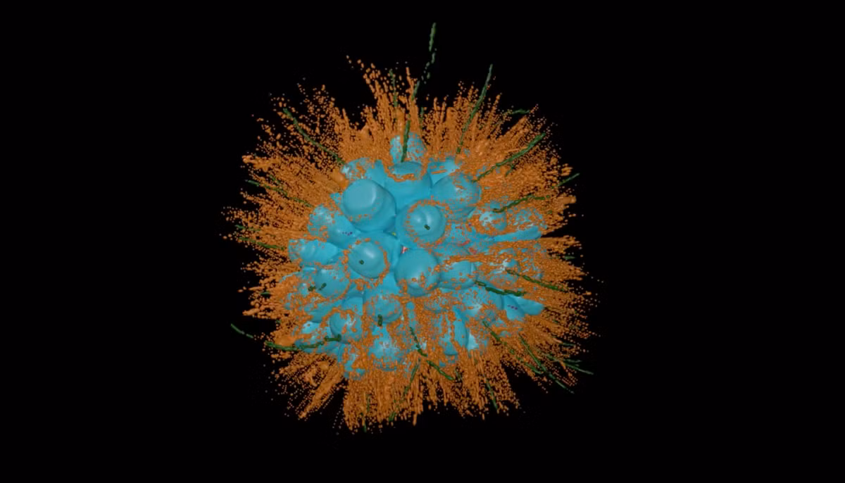Một phát hiện mới đây tại Mono Lake đã làm chấn động giới khoa học. Các nhà nghiên cứu từ Đại học California, Berkeley đã phát hiện ra một loài sinh vật mới có tên Barroeca monosierra, một loại choanoflagellate, sinh vật đơn bào có thể phát triển thành các quần thể đa bào. (Ảnh: Berkeley News)