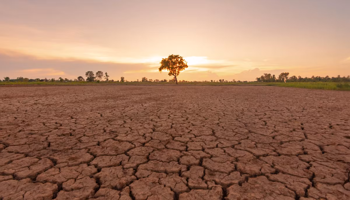 Siêu El Nino là một phiên bản mạnh hơn của El Nino, với cường độ và tác động lớn hơn nhiều. Những sự kiện Siêu El Nino nổi bật trong lịch sử bao gồm các năm 1982-1983, 1997-1998 và gần đây nhất là 2015-2016. (Ảnh:The ASEAN Magazine)