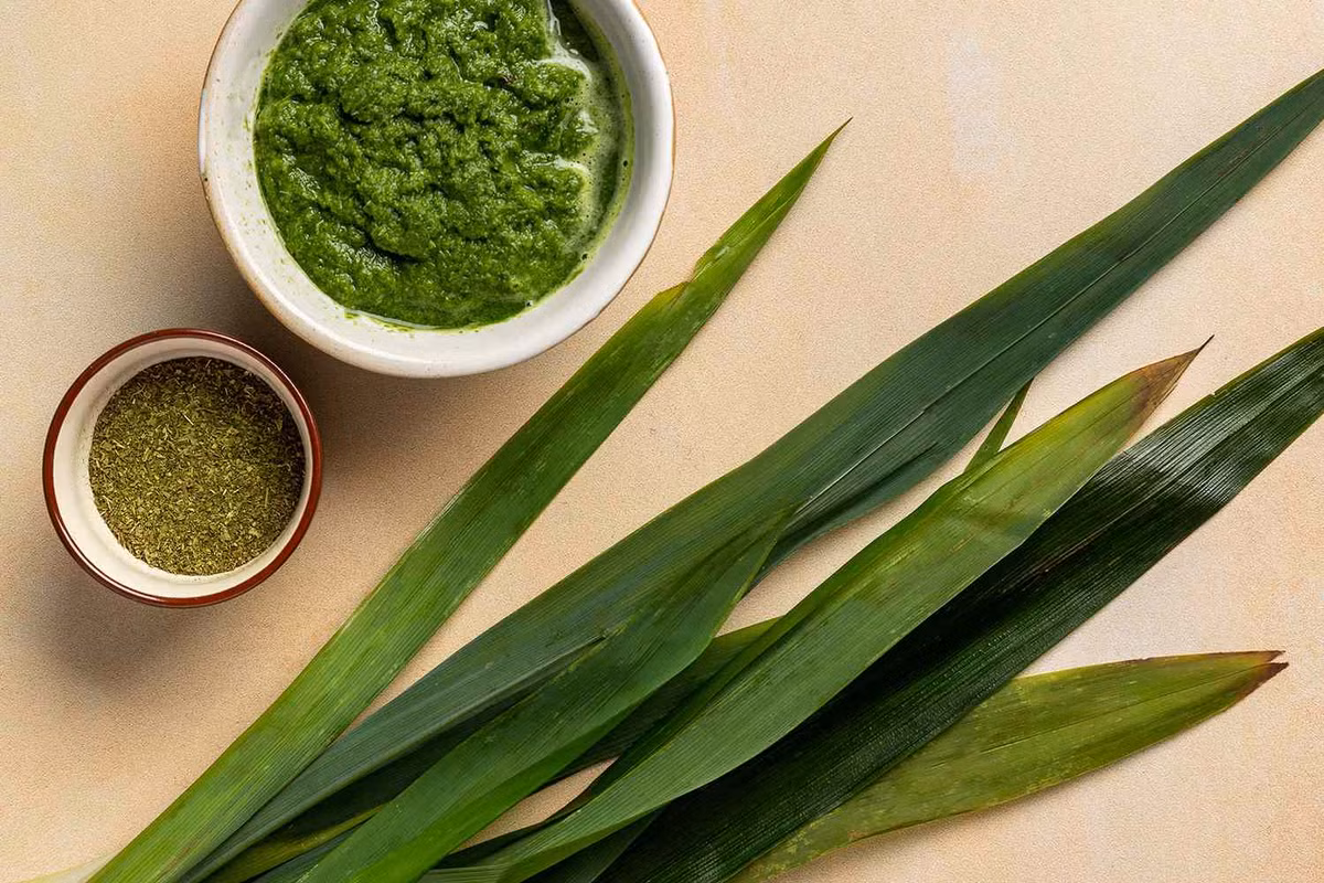 Cây Pandan không chỉ có giá trị trong việc khai thác kim cương mà còn được sử dụng rộng rãi trong ẩm thực và y học. Lá Pandan thường được dùng để tạo hương vị cho các món ăn, đặc biệt là trong ẩm thực Đông Nam Á.