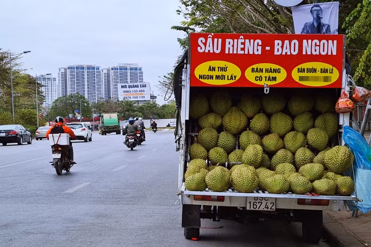 Những ngày cận Tết Nguyên đán Tân Sửu 2021, trên nhiều tuyến phố ở Hà Nội xuất hiện nhan nhản các loại xe ô tô, xe máy, xe đạp ngang nhiên dừng đỗ lấn chiếm lòng đường, vỉa hè để bày bán hoa quả không rõ nguồn gốc gây cản trở giao thông.