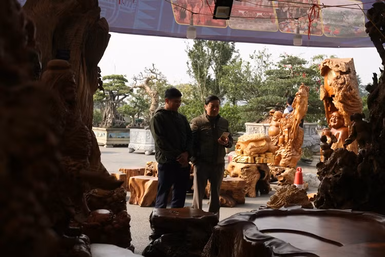 Khách hàng đến tham quan, mua sắm tại Festival sinh vật cảnh đều “lóa mắt” trước bộ bàn ghế “Cửu Lân quần tụ” chào giá 3 tỷ đồng.