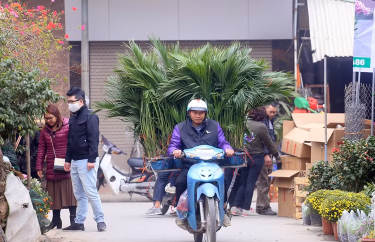 Không khí nhộn nhịp, hối hả tại chợ hoa Vạn Phúc những ngày cận Tết Nguyên đán Tân Sửu 2021.