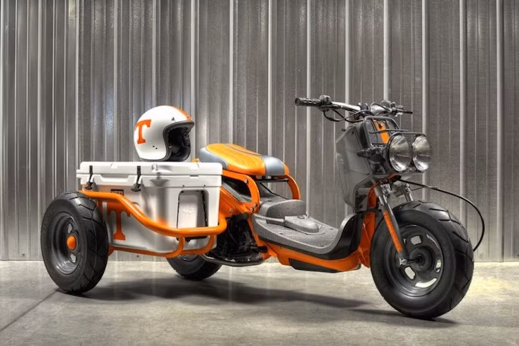 Trên Thế giới, xe ga Honda Zoomer (hay Honda Ruckus tại Mỹ) là một mẫu xe ga phân khối nhỏ rất được ưa chuộng do sở hữu kiểu dáng cá tính và nhiều phụ tùng độ. Chính vì vậy, rất nhiều bản độ độc đáo đã được tạo ra cho chiếc xe.