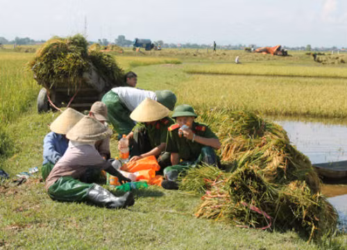 ... nghỉ ngơi, uống nước với bà con sau khi gặt xong.