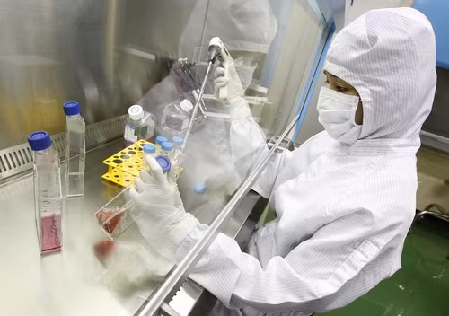 Một nhóm khoa học tại Viện Hàn lâm khoa học Trung Quốc đã tạo ra cấu trúc răng từ các tế bào gốc lấy ra từ nước tiểu của con người.