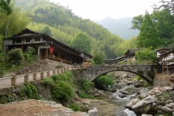 Nếu phía Tây Bắc ngôi nhà bạn ở có rừng thì khả năng ly hôn sẽ cao. Người đàn ông trong nhà thường rất thích ngao du, phóng đãng, cả ngày chỉ thích la cà lang thang ở ngoài mà không thích về nhà.