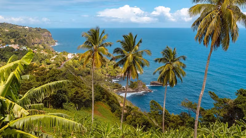 7. Dominica gần đây đã thành lập khu bảo tồn cá nhà táng đầu tiên trên thế giới. Trong năm 2025, nhiều cơ sở hạ tầng và hệ thống mở rộng được thiết lập để chào đón du khách.
