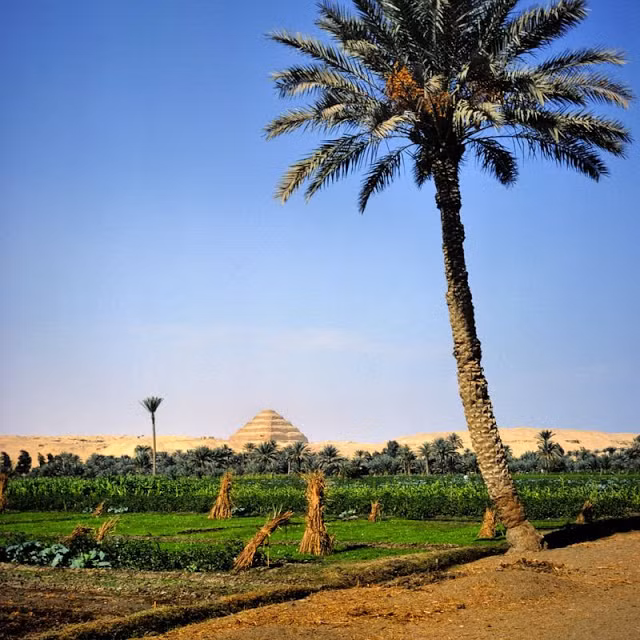 Kim tự tháp Djoser nhìn từ một nông trại ở Saqqara, Ai Cập.