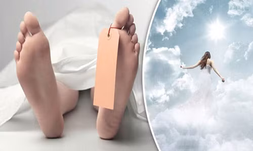 Nhiều người ngưng tim sau hồi phục cho biết nhìn thấy “ánh sáng rực rỡ” Nhiều người ngưng tim sau hồi phục cho biết nhìn thấy “ánh sáng rực rỡ”