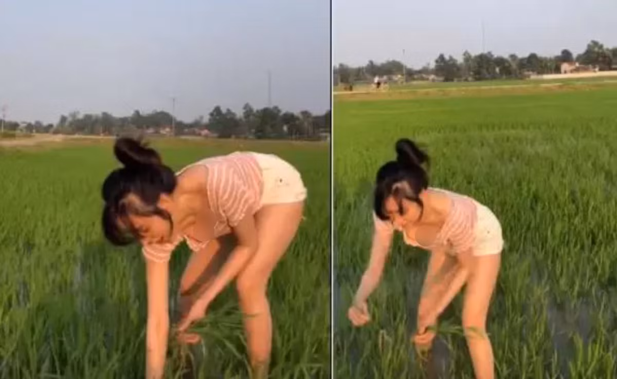 So với năm ngoái, clip đi làm ruộng lần này của Bà Tưng giờ còn mặc đồ xẻ sâu gợi cảm hơn nhiều.