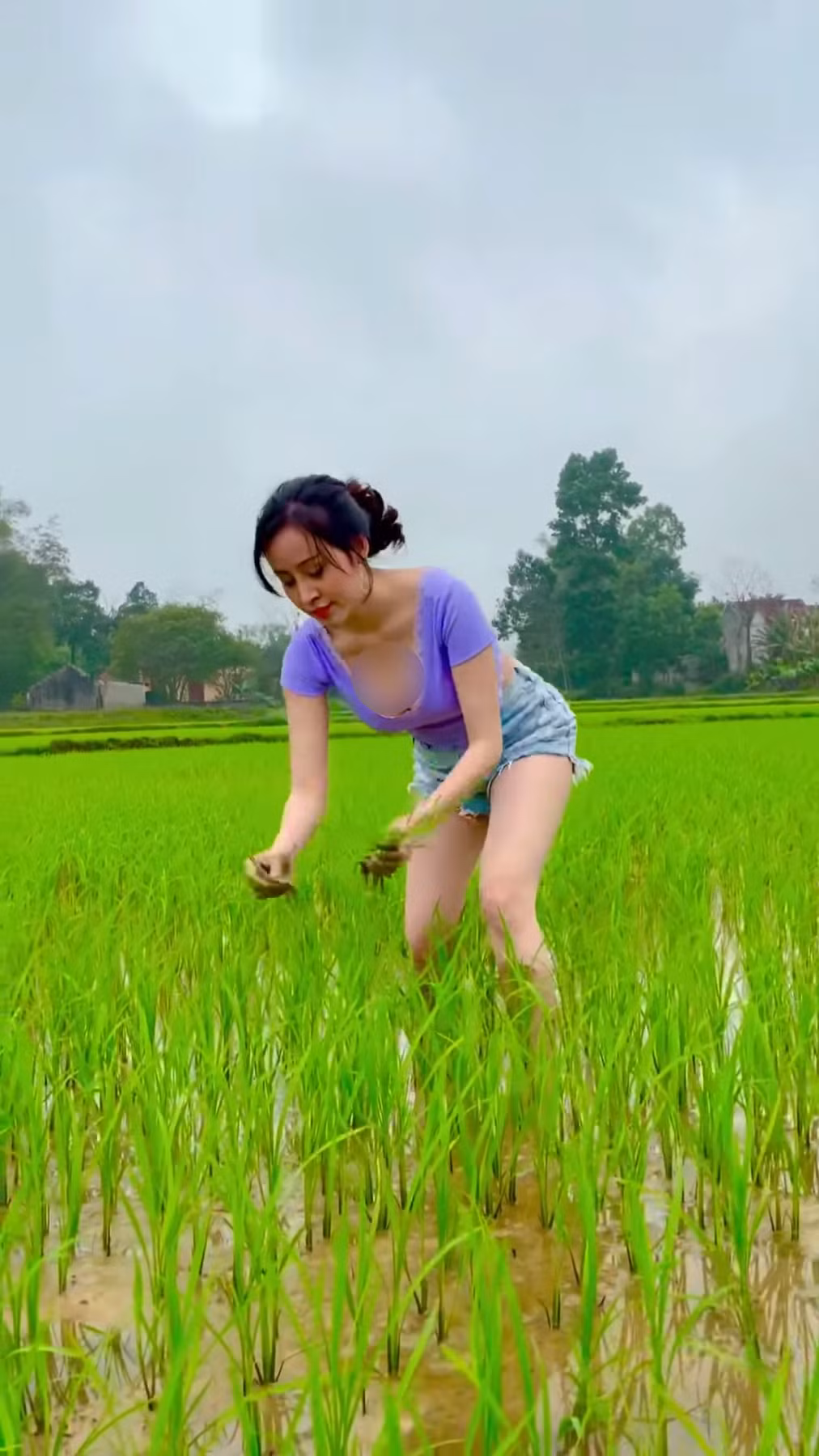 Video ngắn của hot girl quê Nghệ An nhận được sự chú ý của cư dân mạng và nhận về nhiều ý kiến trái chiều, đặc biệt netizen chỉ trích cách lựa chọn trang phục không phù hợp khi đi làm ruộng.