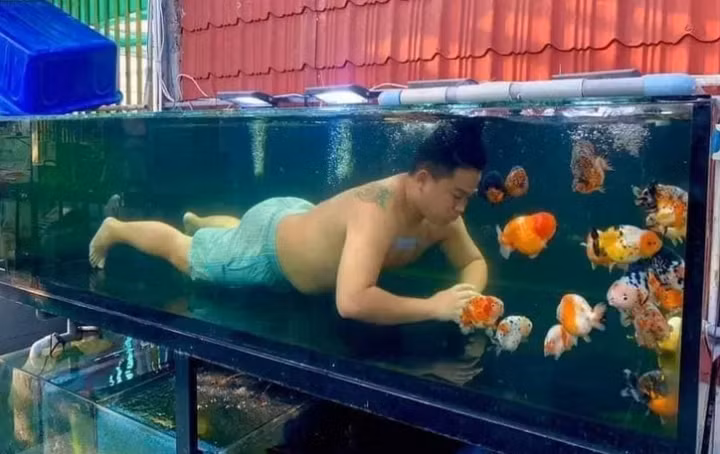 Bên cạnh đó, nhiều bà vợ còn ra tuyệt chiêu nhằm "xử đẹp" chồng vì quá đam mê cá mà quên luôn vợ con.