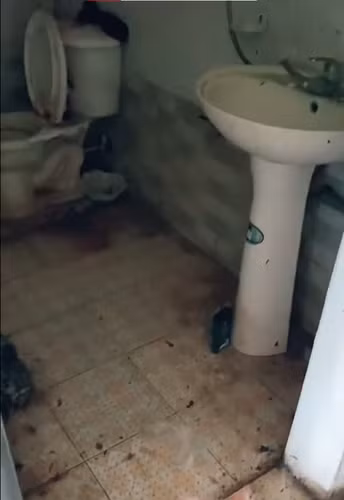 Cư dân mạng cho rằng việc bố lên mạng bóc phốt con gái ở bẩn là không nên, hoặc "con hư tại bố",...Hơn nữa, việc cô gái có thói quen xấu này cũng bởi sự nuông chiều của cha mẹ.
