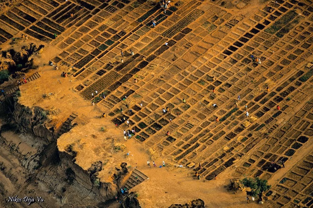 Những khu vườn bên sông Senegal gần Kayes, Mali.
