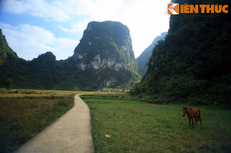 Nằm trong lòng một quả núi cách thác Bản Giốc 3 km thuộc địa phận bản Gun, xã Đàm Thuỷ, huyện Trùng Khánh, tỉnh Cao Bằng, động Ngườm Ngao là hệ thống hang động đẹp và kỳ vĩ bậc nhất của khu vực miền Bắc.