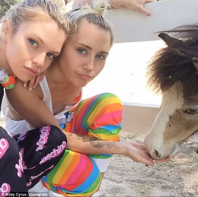 Hinh anh to Miley Cyrus yeu dong tinh thien than VS Stella-Hinh-4