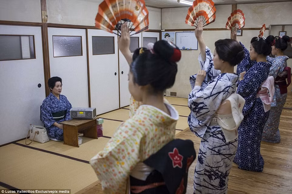 Các geisha tập sự đang học múa quạt, điệu múa truyền thống ở Nhật Bản.