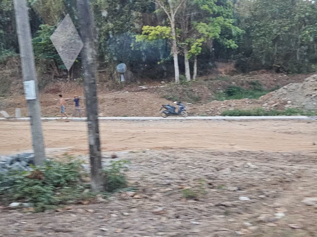 Đồng Nai: Cận cảnh dự án công viên cây xanh Đồi 112 Định Quán - Hình 7 Dong Nai: Can canh du an cong vien cay xanh Doi 112 Dinh Quan-Hinh-7