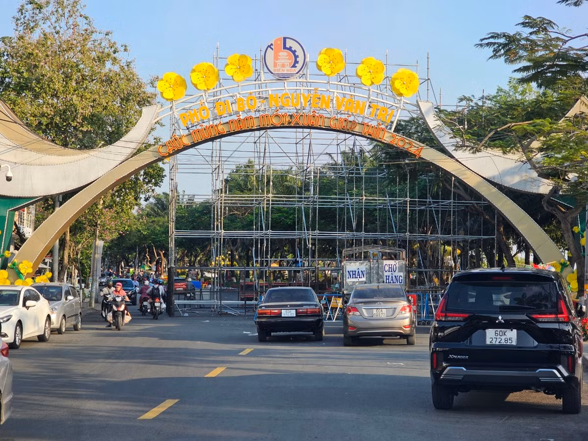 Dong Nai: Duong hoa Nguyen Van Tri hon 8 ty co gi?-Hinh-8
