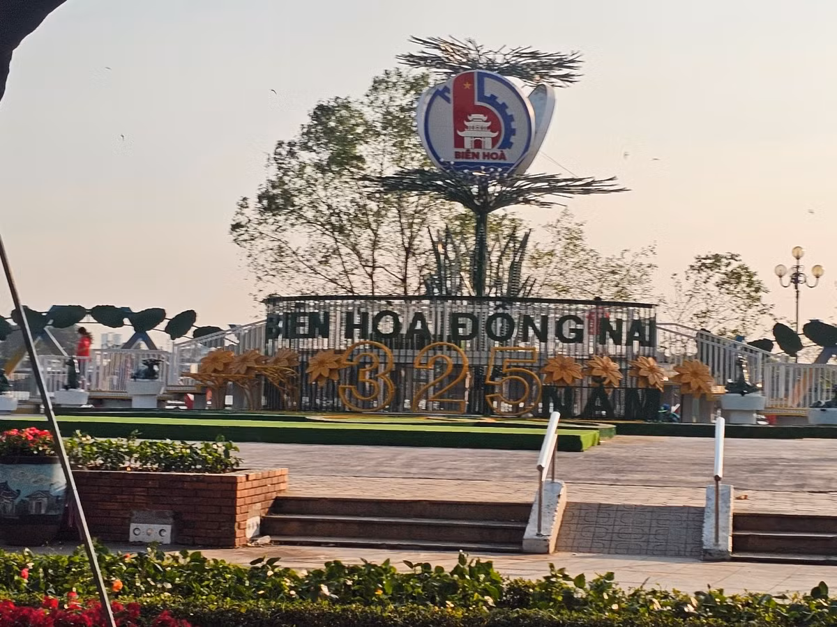 Dong Nai: Duong hoa Nguyen Van Tri hon 8 ty co gi?-Hinh-2