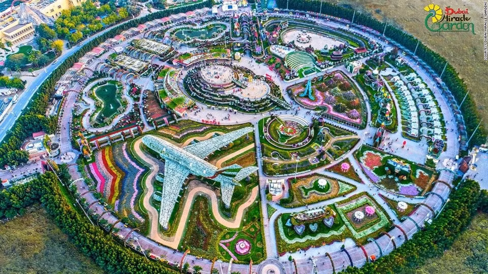 Vườn hoa Dubai Miracle Gardens có hơn 4 km lối đi, bao quanh là những lùm hoa rực rỡ sắc màu.